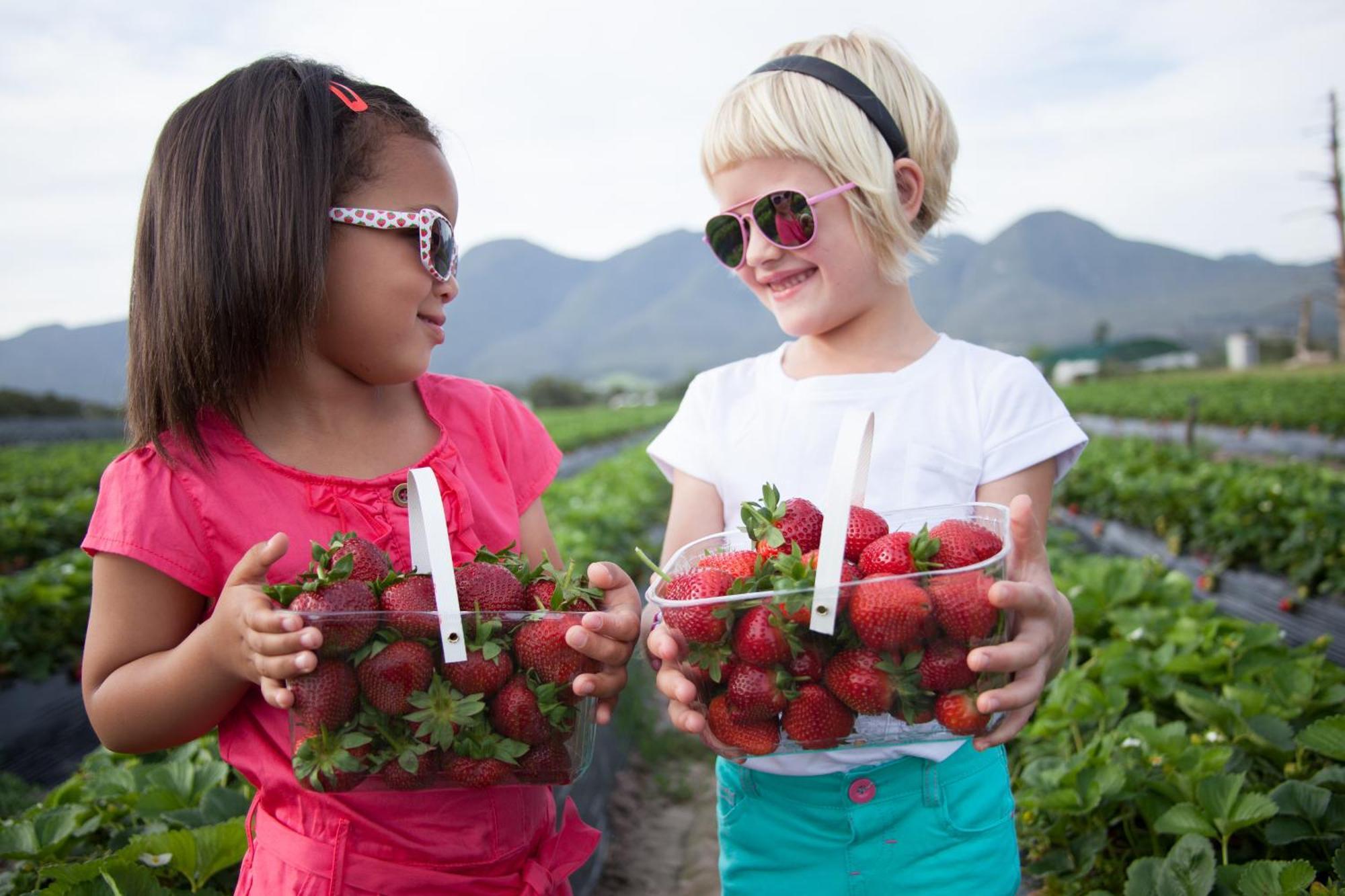 Redberry Farm Villa George Luaran gambar